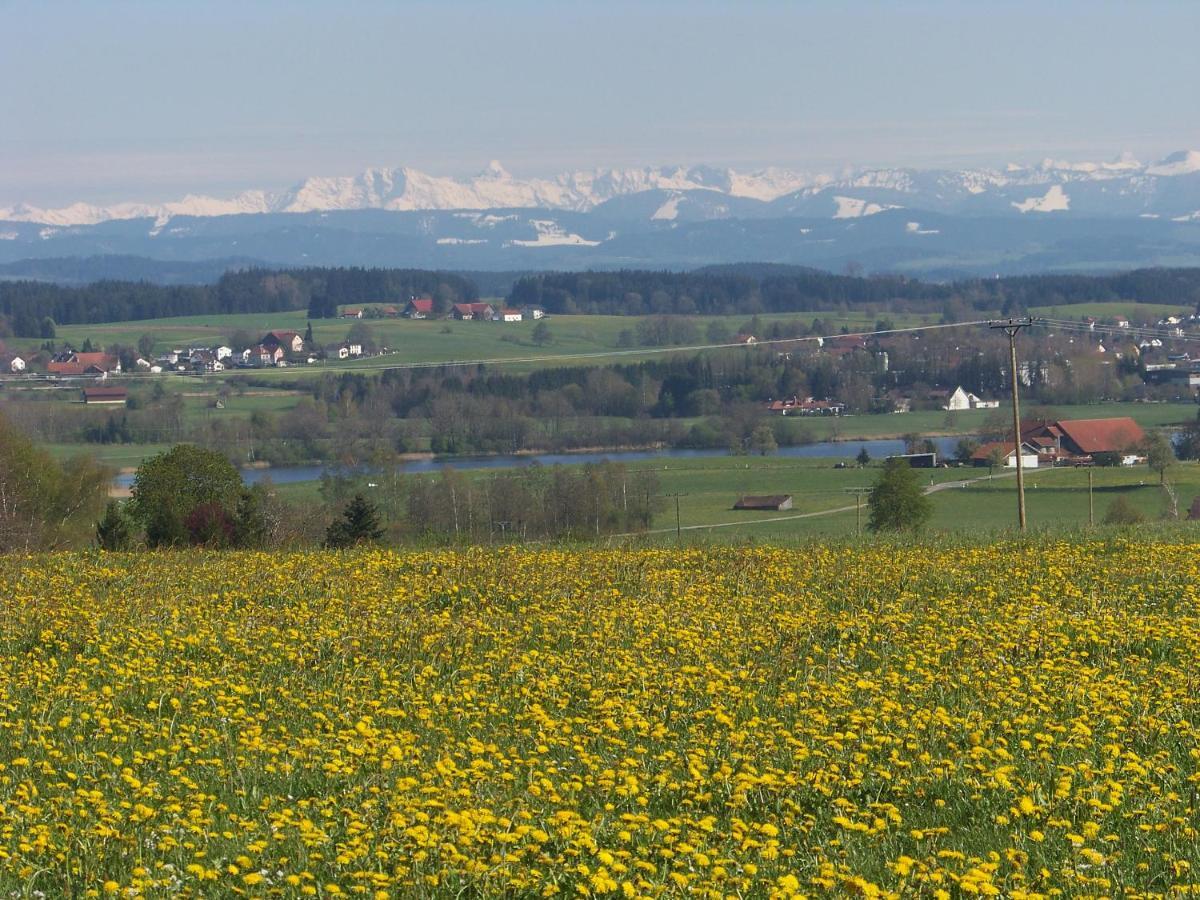 Brunnenweiher