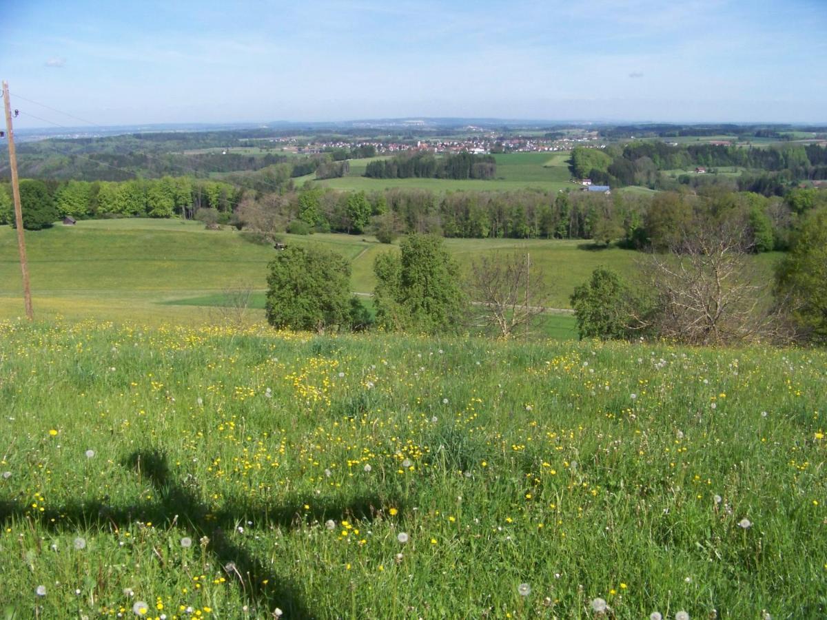 Brunnenweiher Kisslegg