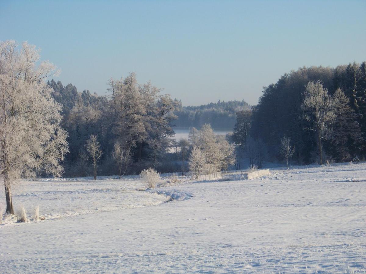 Brunnenweiher Holiday home *