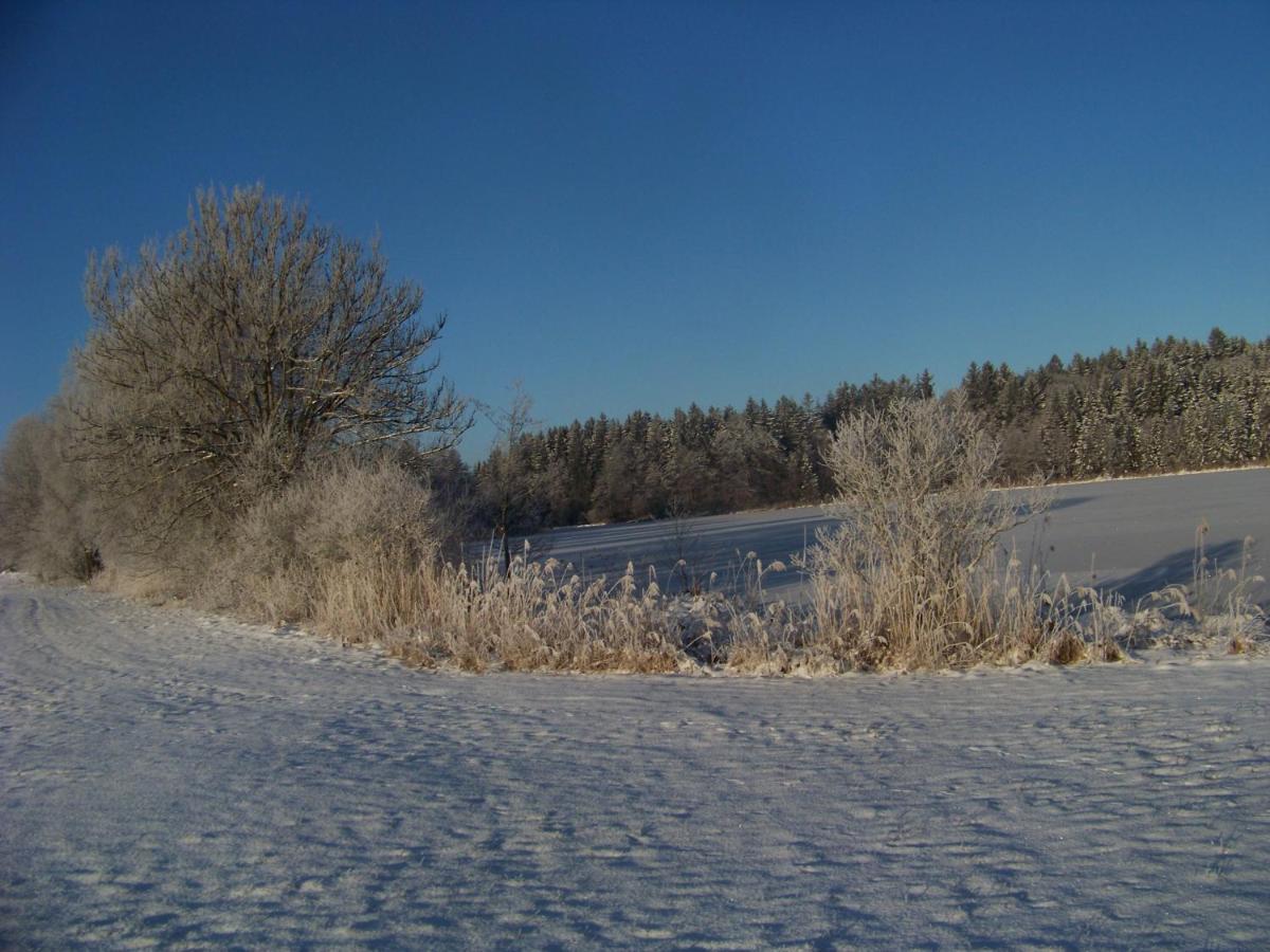 Brunnenweiher * Kisslegg